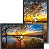 VSDISPLAY Monitor pubblicitario LCD TFT da 18,5 pollici 1920x1080