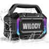 Wilody Altoparlante Bluetooth portatile,cassa bluetooth portatile con bassi profondi da 100 W,potente IPX7,con ricarica wireless,20 ore di riproduzione,ingresso TF/AUX/Type-C,RGB,TWS,BT 5.3,(L-Nero)