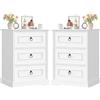 FOREHILL Set 2 Comodini Camera da Letto 45,5x38x64cm Bianco