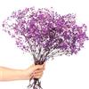 Songjum Breath del Bambino Essiccato Fiori Mazzo Naturale Fiori Essiccati Respiro del Bambino Real Gypsophila Branches per la Tavola di Nozze Vaso Partito Giardino DIY Corona floreale Home Decor (Purple)
