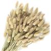 Songjum 120Pezzi Bunny Tails Bouquet Coda Coniglio Naturale Bouquet Fiori Secchi Di Erba Di Pampa per Fiori Secchi Decorazione Camino Casa Cucina Chiesa Tavolo Decorazione Boho Nozze Decor(colore naturale)