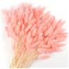 Songjum 120Pezzi Bunny Tails Bouquet Coda Di Coniglio Naturale Bouquet Di Fiori Secchi Di Erba Di Pampa per Fiori Secchi Decorazione Camino Casa Cucina Chiesa Tavolo Decorazione Boho Nozze Decor（Rosa）