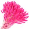 Songjum 120 code di coniglietto secche, fiori di pampa, decorazione per composizioni floreali, bouquet di nozze, decorazione per la casa e il giardino (rosso rosa)