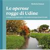 Kappa Vu Le operose rogge di Udine. La lunga storia degli opifici e dei mulini nel borgo di Sant'Osvaldo