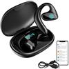 Generic 2025 New Talkbuds Translator, Talk Buds Vylaras Ai Translator Earbuds Real Time, Support 144 Languages & Accents (Black)