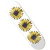 THE NATIONAL SKATEBOARD CO Skateboarding The National Skateboard Co Tavola The National Daisy 8.12