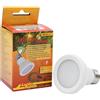 Lucky Reptile LED Sun Flood 6,5 Watt - Lampada LED per Supporti E27 - Lampada per terrario con Potenza Luminosa Impressionante - Lampada per terrario - Illuminazione terrario 1 Pezzo