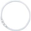 Generico Lampade Fluorescenti T5 da 22 Watt con portalampada [Classe energetica G]