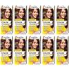 Palette Confezione da 10 shampoo Color 3 - 65 (244) Coffee Brown Hair Color - Full Box - con istruzioni in lingua inglese (lingua italiana non garantita)