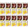 Palette Confezione da 10 shampoo Color 5 - 86 (217) Mahogany Hair Color - Full Box - con istruzioni in lingua inglese (lingua italiana non garantita)