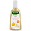 RAUSCH Shampoo nutriente con olio d'uovo 200 ml - pulizia nutriente per capelli secchi - senza siliconi prodotto in Svizzera con tuorlo di pollo biologico fresco e estratto di germe di grano