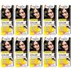 Palette Confezione da 10 shampoo Color 1 - 0 (113) Black Hair Color - Full Box - con istruzioni in lingua inglese (lingua italiana non garantita)