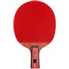 REcsdza Set di racchette da ping pong, Used by Intermediate and Senior Players