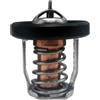 BUDZAVHIC 17670-94J00 Termostato 60° per Motori fuoribordo S-zuki Marine DF8A 9.9 15 20 25 30A 17670-94J00 17670-94J01 per OMC 5036226