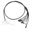 Generic Filo Principale for Controller for Teverun 8 Teste con 10 Pin for Mini Scooter Blade 2024 Motore Singolo Collegamento Cavo Display e Controller