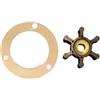 DEzxf9Rd for 131-0160 Girante ad Acqua con Kit Guarnizione a 3 Fori Adatto for generatore Onan 4.0 6.5 7.5 KW Raffreddamento 131-0165 131-0267