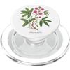 The Botany Bureau Sensibile Pianta illustrazione Mimosa pudica PopSockets PopGrip per MagSafe