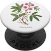 The Botany Bureau Sensibile Pianta illustrazione Mimosa pudica PopSockets PopGrip Adesivo