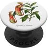 The Botany Bureau Coppa scimmia pianta illustrazione Nepenthes x Ventrata PopSockets PopGrip Adesivo