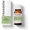 Herbalgem italia srl Pranarom Olio Essenziale - Cedro dell'Atlante - 10 ml