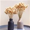 Songjum 120Pezzi Bunny Tails Bouquet Coda Di Coniglio Naturale Bouquet Di Fiori Secchi Di Erba Di Pampa per Fiori Secchi Decorazione Camino Casa Cucina Chiesa Tavolo Decorazione Boho Nozze Decor（Naturale）