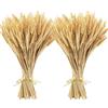 Minnhua 200PCS Spighe di Grano Decorative Fiori Essiccati Grano | Bouquet Fiori Secchi Naturali Fiori Finti da Interno per Decorazioni Casa Vaso Tavolo Matrimonio DIY 40cm