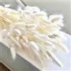 Songjum 120Pezzi Bunny Tails Bouquet Coda Di Coniglio Naturale Bouquet Di Fiori Secchi Di Erba Di Pampa per Fiori Secchi Decorazione Camino Casa Cucina Chiesa Tavolo Decorazione Boho Nozze Decor（Bianco）
