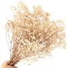 Songjum Breath del Bambino Essiccato Fiori Mazzo Naturale Fiori Essiccati Respiro del Bambino Real Gypsophila Branches per la Tavola di Nozze Vaso Partito Giardino DIY Corona floreale Home Decor (White)
