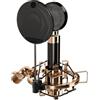 iCON Pro Audio Aurora - Microfono a condensatore a cardioio, gamma dinamica da 125 dB, alloggiamento in metallo