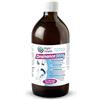 Right Health DRAINANCE 1000: Drenaggio altamente disintossicante 1 l, pulizia del fegato, anticellulite contro la ritenzione idrica su gambe e addome. betulla, dente di leone, prunus, equiseto.