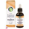 ERBORISTERIA MAGENTINA SRL SPACCAPIETRA TINTURA MAGENTINA 50 ML