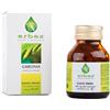 Erbex Garcinia Integratore Alimentare Colesterolo, 100 Capsule da 430mg