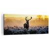 ARTTOR Quadri Moderni su Tela 120x50 cm Stampe da Parete Paesaggi Natura - 2428 | Campo Nebbia Quadro Decorativo Grande 1 pezzo Soggiorno Camera da Letto Arte da Parete Decorazione da Parete ARTTOR