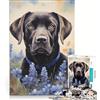 JIANGENNF Puzzle da 1000 pezzi per adulti, Labrador nero tra i lupini blu, gioco pratico, impegnativo e stimolante, adatto come decorazione da scrivania 38x26cm