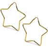 Damiano Argenti Orecchini a forma di Stella in Argento 925 Placcato Oro Argento