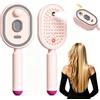 HBSFBH Pettine elettrico per massaggio a cuscino d'aria, Pettine districante antistatico 3 in 1 e massaggio con cuscino d'aria, Piastra per capelli a vapore ricaricabile con spray, ideale per una spa