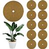 ZDQC 10 Pezzi Disco di Cocco,Disco in Fibra di Cocco,Disco Cocco Piante,Pacciamatura Cocco,Telo Cocco Pacciamatura,Fogli per Pacciamatura in Fibra di Cocco,Protezione Invernale per Piante (25 cm)