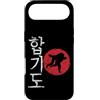 Hapkido martial arts sport combat sports Custodia per iPhone Air Prospettive giapponesi Hapkido