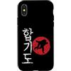 Hapkido martial arts sport combat sports Custodia per iPhone X/XS Prospettive giapponesi Hapkido