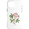 The Botany Bureau Custodia per iPhone 16 Pro Max Sensibile Pianta illustrazione Mimosa pudica