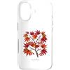 The Botany Bureau Custodia per iPhone 17 Illustrazione giapponese della pianta dell'acero Acer palmatum