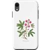 The Botany Bureau Custodia per iPhone XR Sensibile Pianta illustrazione Mimosa pudica