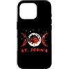 St John's Canada Flag Tees Custodia per iPhone 16 Pro Bandiera del Canada di San Giovanni