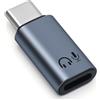 BORLTER CLAMP Adattatore da Lighting a USB-C per cuffie con supporto del controllo di linea, adattatore audio da Lighting a USB-C per con iPhone 16/15, iPad e altri connettori audio Type-C, grigio
