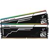 Netac RGB DDR5 Ram 32 GB Kit (2 x 16 GB) 6400 MHz (PC5-51200) CL32 Desktop Storage, Gaming Computer Memory per XMP 3.0, Nero