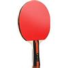 REcsdza Set di racchette da ping pong, Recreational Ping Pong Racket(Long handle)