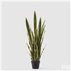 Enzo De Gasperi EDG Enzo De Gasperi Pianta di Sanseveria West con Vaso H105 cm
