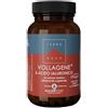 Forlive Terranova Vollagene & Acido Ialuronico Integratore Vegano Per Bellezza Della Pelle E Salute Articolare 50 Capsule