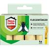 Nexa Lotte Pigliamosche, per combattere le mosche con elevato potere adesivo ed effetto attrattivo, 4 pezzi