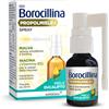 ALFASIGMA PARAF NEOBOROCILLINA PROPOLMIELE SPR